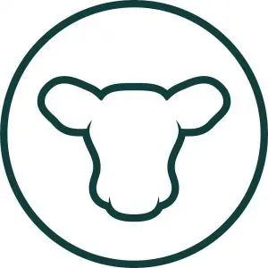 Jersey Artisan Co.